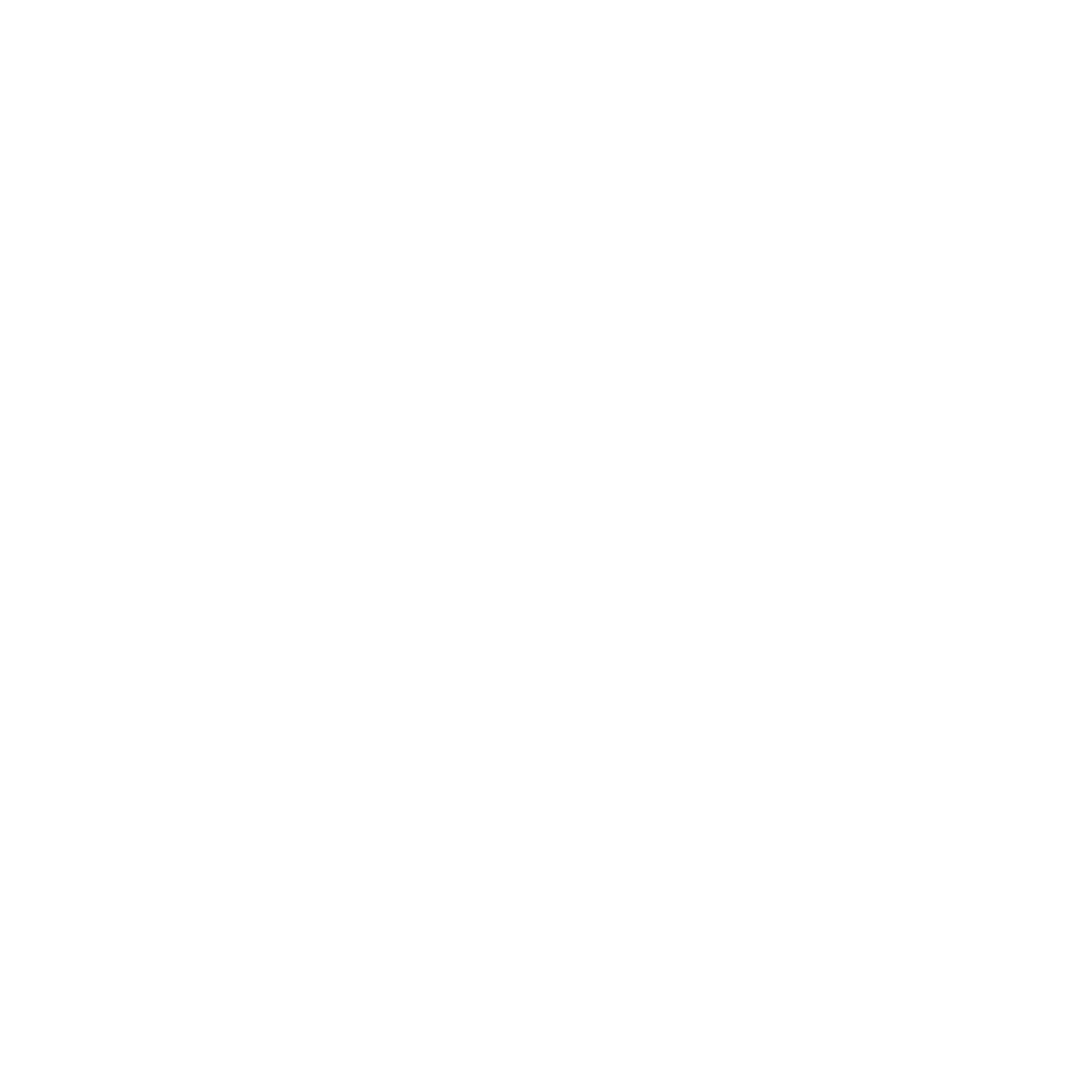 Standards Icon